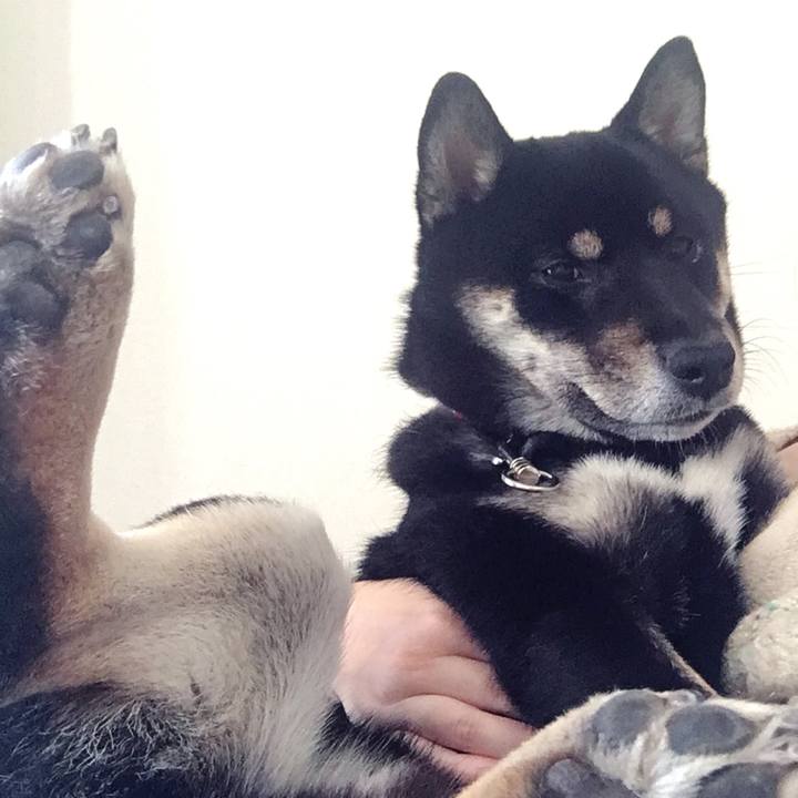 40167da7 4f75 4912 a71a d1da36480229