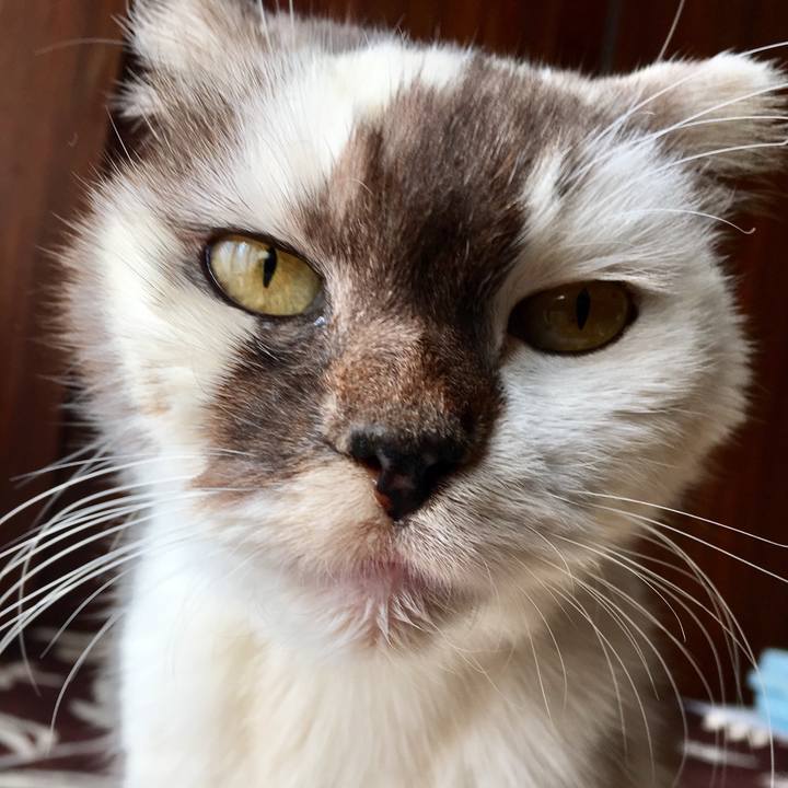 4016c62c 6947 4c69 bdb3 7fc02c4cd3c0