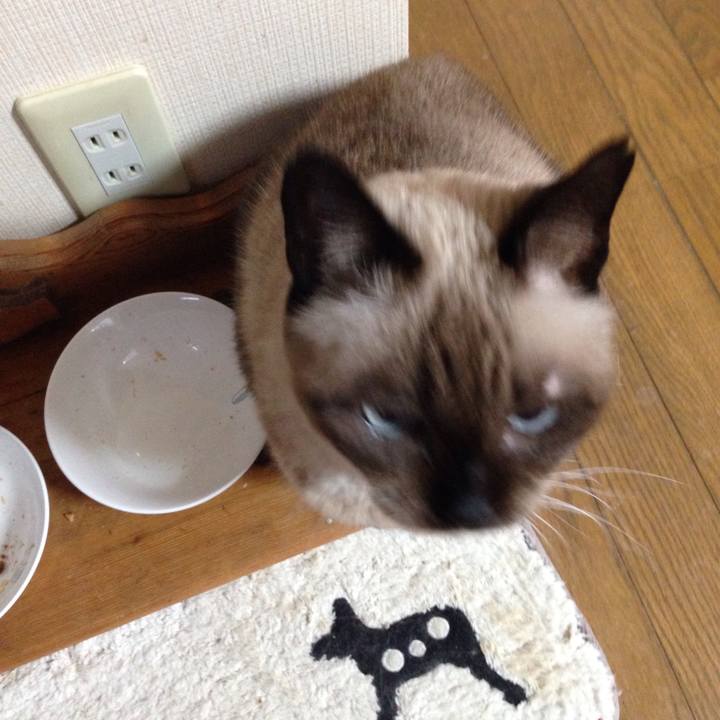 40175144 c25e 4ed4 b35b d1a0fe2feb13