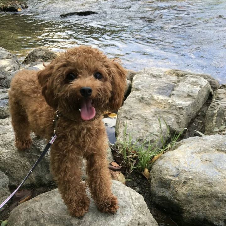 401759d3 0eb1 4f3a b122 b97512315383