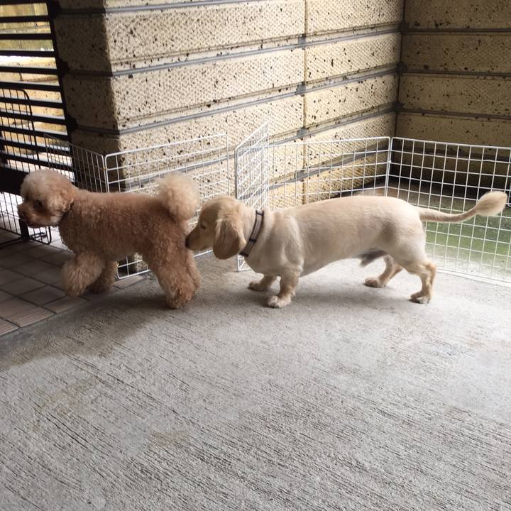 40180d9d ec25 4aca b87f 4c0edcccdaaa