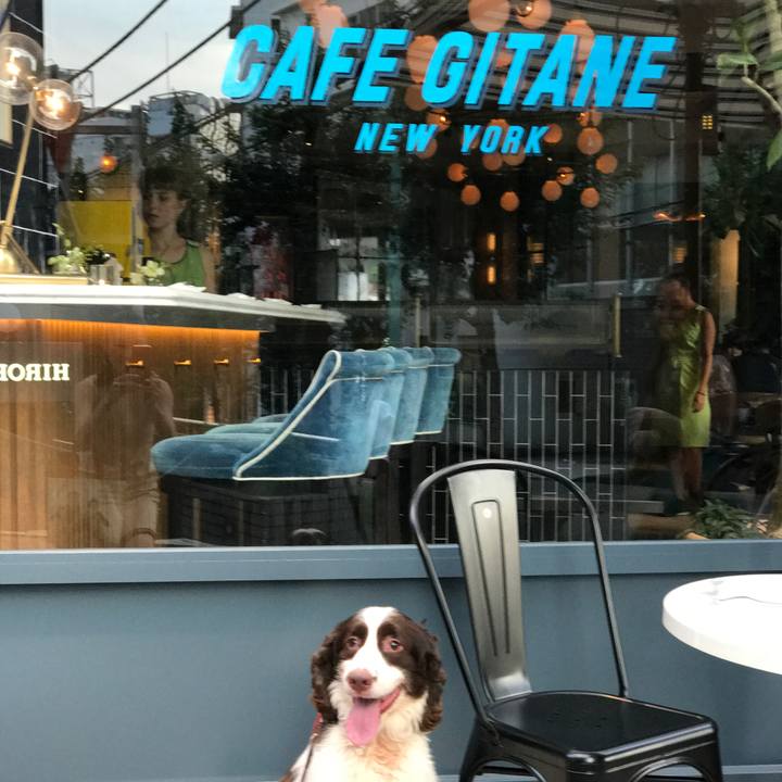 40184eeb 149f 463d 987b 111cf2049722