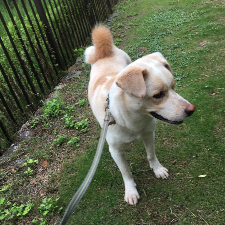 401876ee 0e83 4cd8 b0c8 a1d2b715d9e2