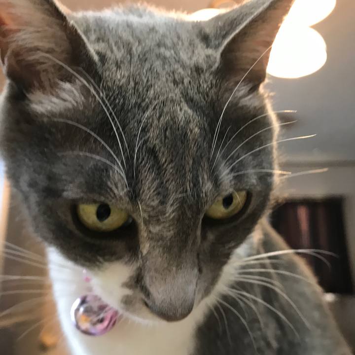 40189483 8039 4ae7 9bcc 248761c64878