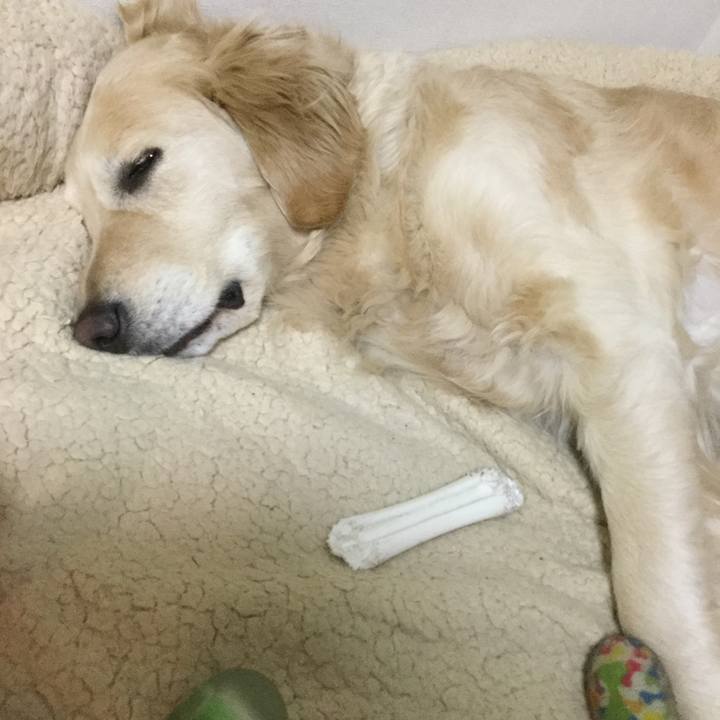 40195e41 9cf2 4543 b0ba 9fa0ec4f2238