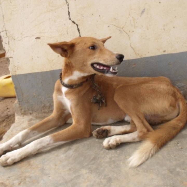 401aefba 4cc1 4a68 8fc6 3fd12413935b