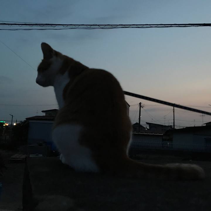 401b255a d332 4186 a4ec 4bec96df5c5a