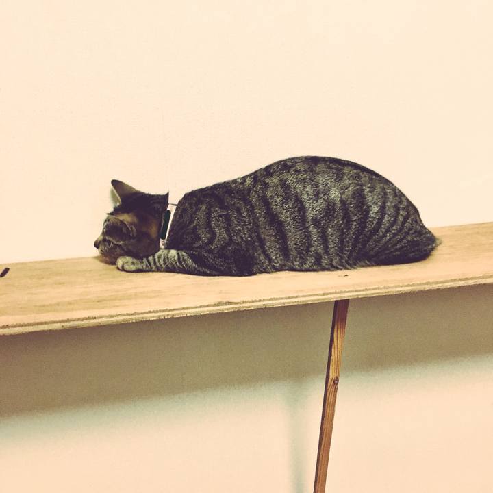 401b4317 cc38 427b 9853 33e5e3f761f0