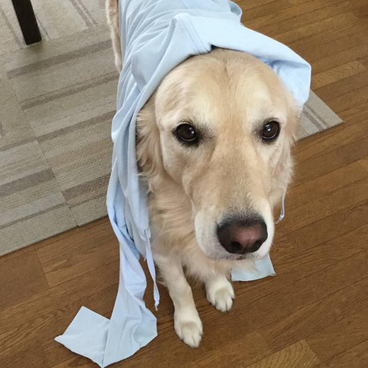 401bea73 6028 431f 9d69 36a580bb6deb