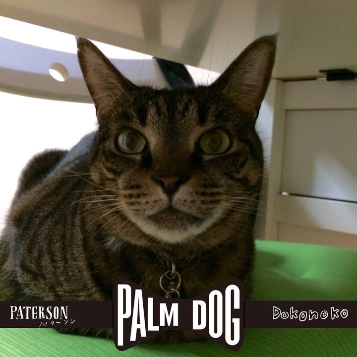 401c1698 e7d5 4398 a65f f02b3f2c741e