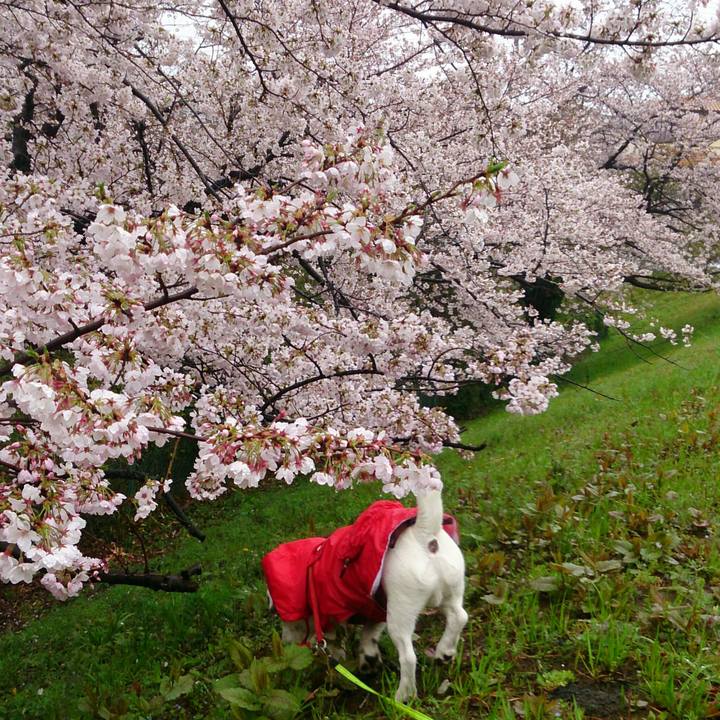 401c1c32 59a9 48c8 ade8 28b1499dddcf