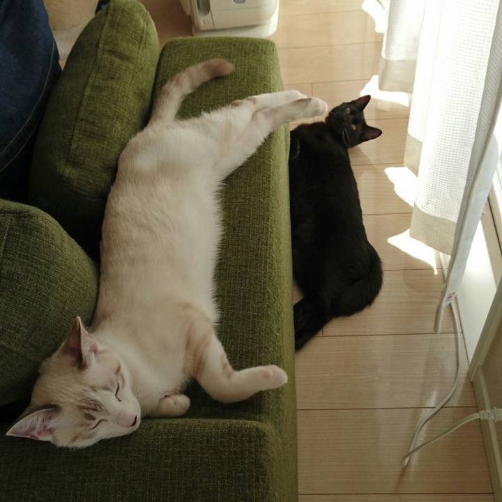 401c2c7f f7e3 4faf ba6e c72174eb1ae3