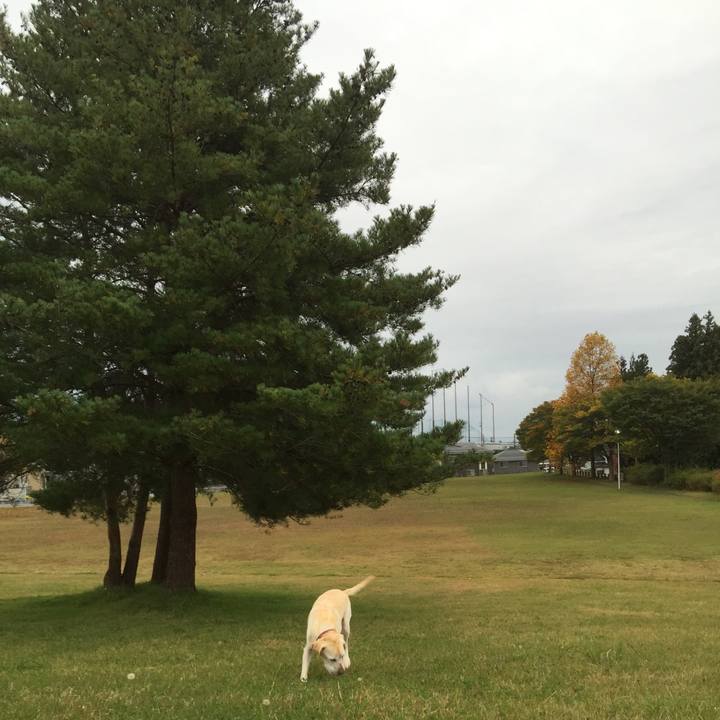 401dc244 cde6 4556 af77 ce3868f42f8d