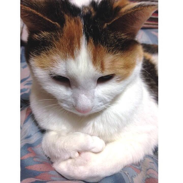 401dc711 cda1 45ff 9e3c 92714f46131d