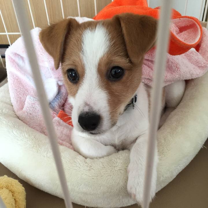 401dede4 1b00 4ff9 9e71 2c28a6b301a5