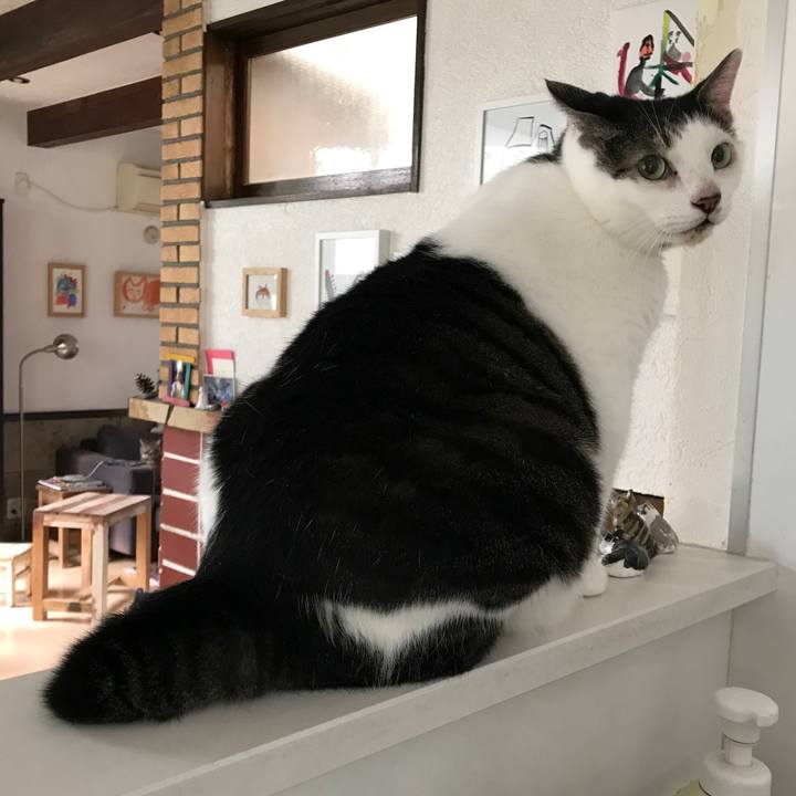 401df188 47fa 4bfe 9d50 f4f9fa6d1e7d