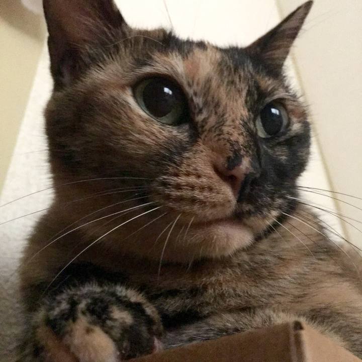 401e26eb 4fbd 458f a604 739096b46697