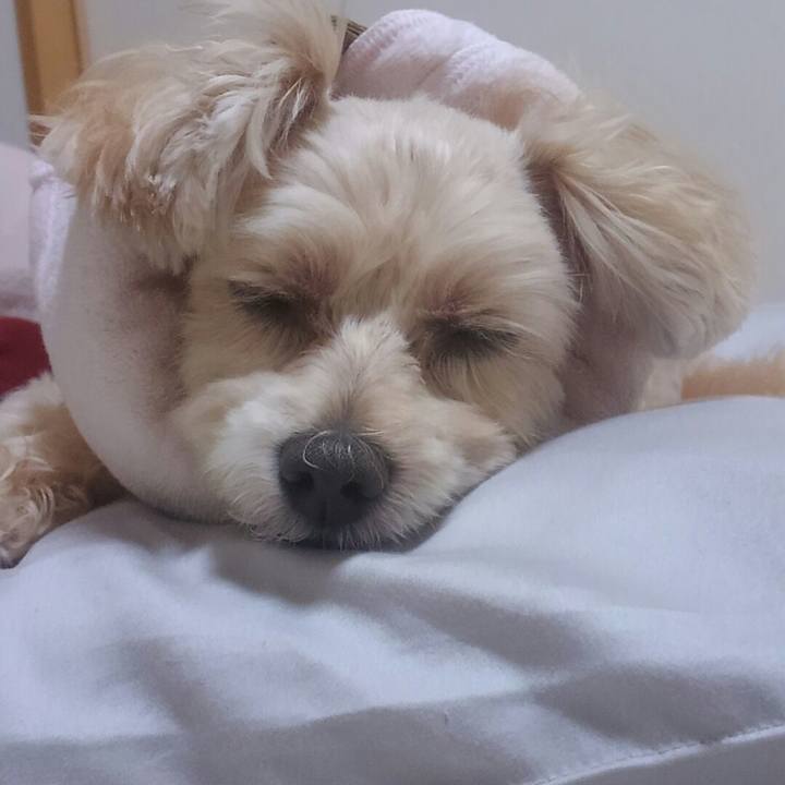 401ea49e 1be0 4ce8 8a44 33156b54e982