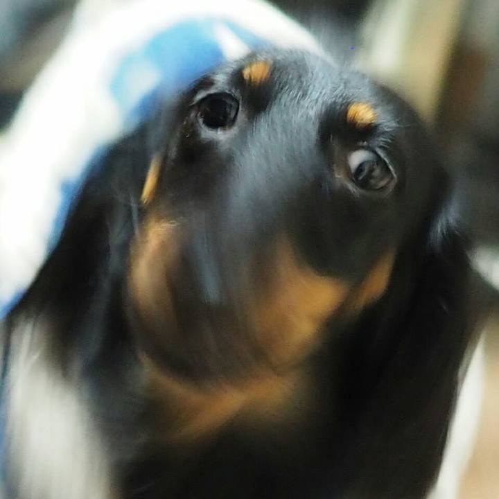 401eabc5 f2e0 48da 9cfd 139ca751ba32