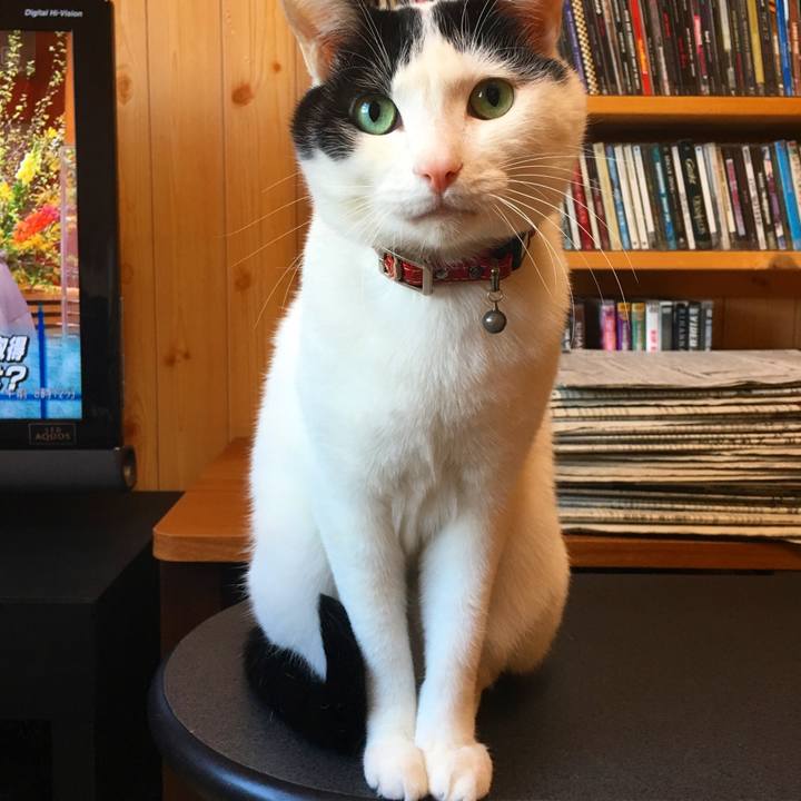 401f5599 a23b 4042 97c7 e1ef48d46d64