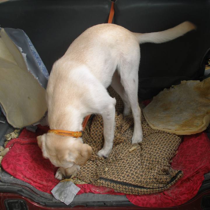 401fa780 aff3 4c78 8584 73a86ec6d745