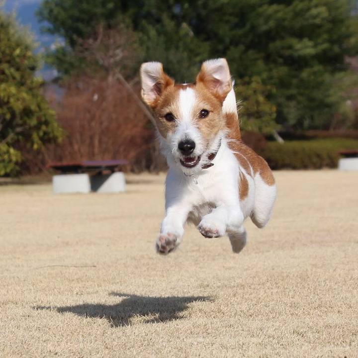 401fb6b9 b7c5 4662 ab0a 3aca1c9c8306