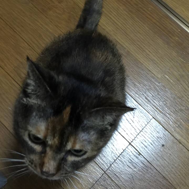 401fd626 6306 4a67 8481 b5f82a255aef