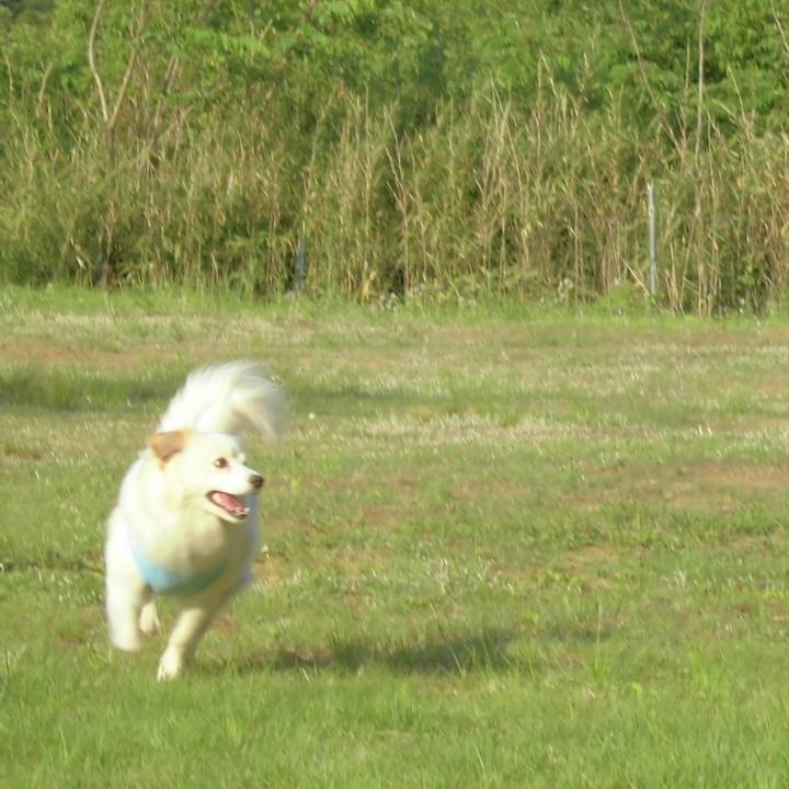 401fdde0 a2a5 4a53 838b 7b0010bcc69f