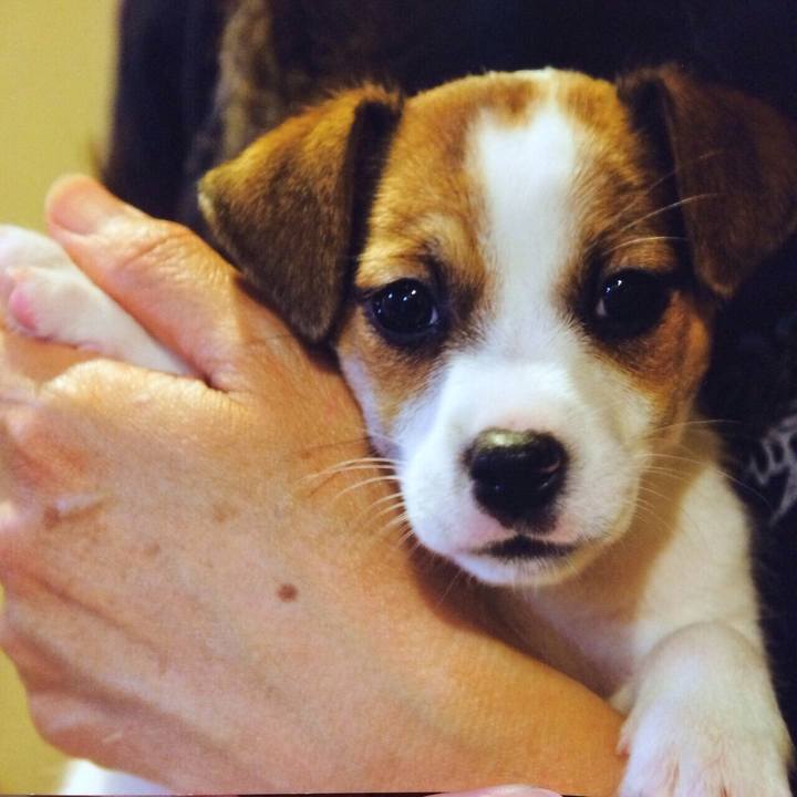 4020cee0 2956 4a0f 80a8 12fe2b3ed74f