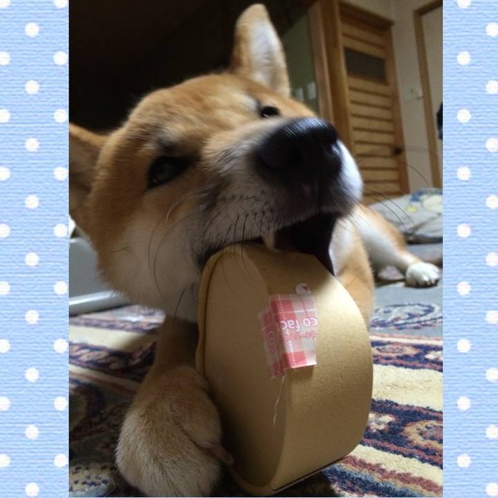 40225c07 4748 4d3f 8d59 1dac3e7b443b