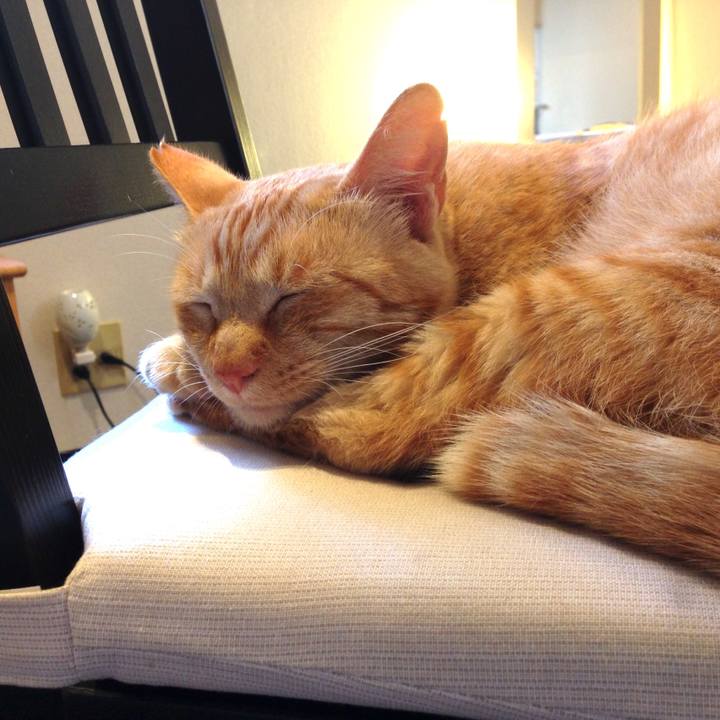 4022bd95 5638 4147 a071 a683e4fb0336