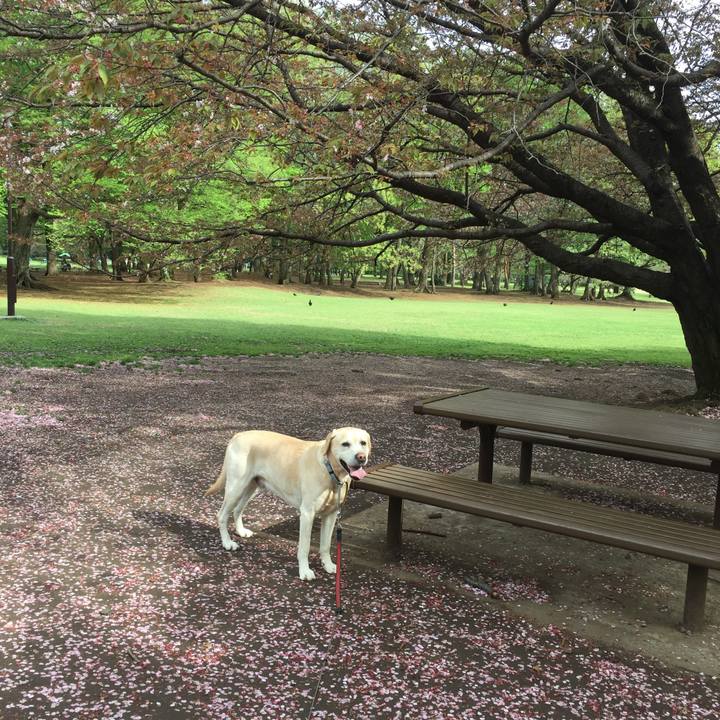 4022f514 1162 4304 adcd 89ee66c24416