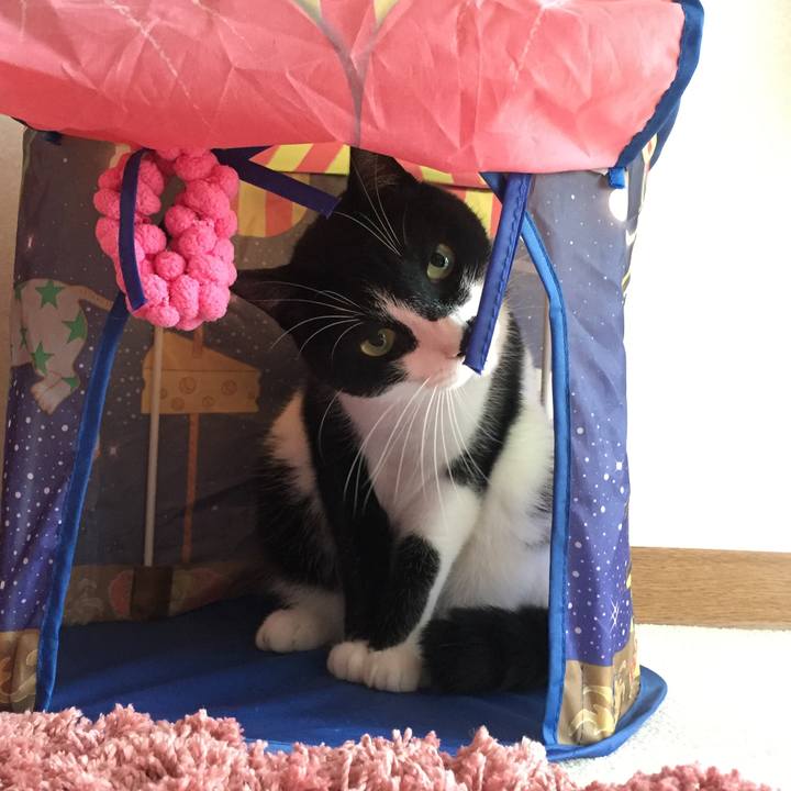 40236771 a393 4675 9af6 35b02374e9c2