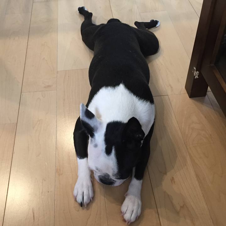 402432d1 6f18 4675 8965 049d86672a0b