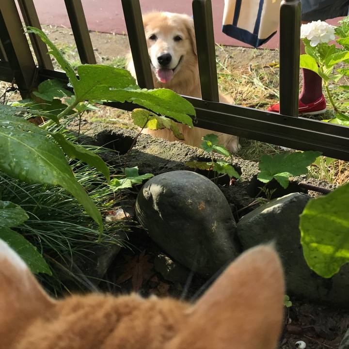 40247e54 37f5 446d ad99 2d60a96fae30