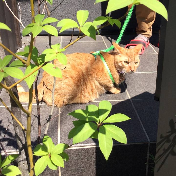 40248b29 d4c6 4051 ad71 e015604517c2