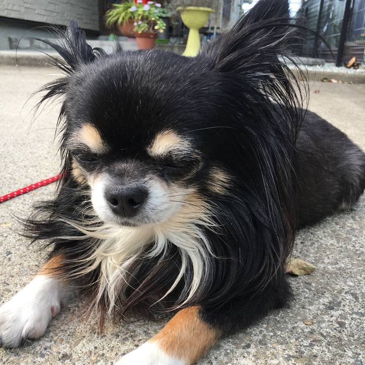 4024b22e 8424 4fca 89c0 779d4a61e1d3