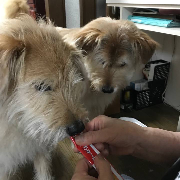 4024e940 d2ae 4496 beb1 6d75fab140bc