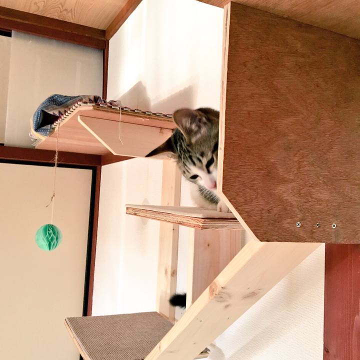 40254539 5ac1 4535 a931 0abd6a83e7a4