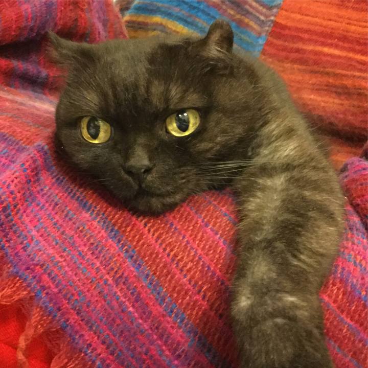 4025ac4b bb3c 4b7d 9bd9 c765b95a47c7