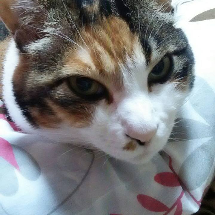 40266320 7e85 4a50 a1c3 1f601038bd97