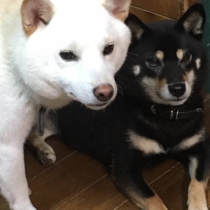 40266c93 1e5b 4897 b25e 58f8f86ffcad