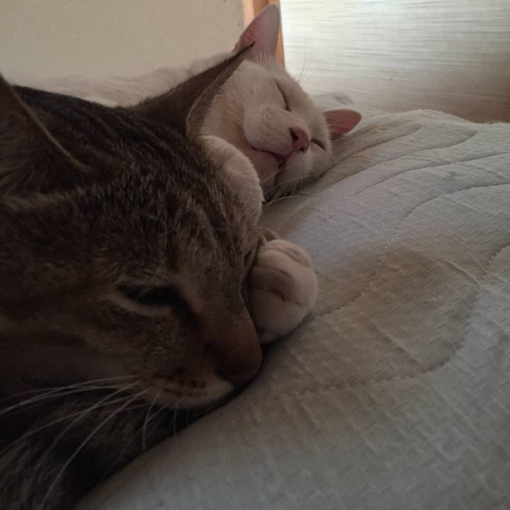 40269b30 c07a 483c bb09 bf683b3c49e9