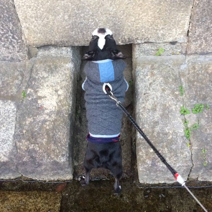 4026ef0a 77d1 4d2d 866b e892d59e40f3