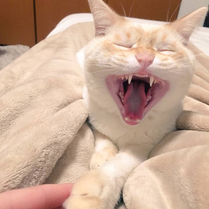 4027055b 5a3d 4847 b802 c9974802801c