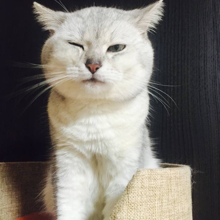 4027150d 6891 4339 8fba 5d8159206b19