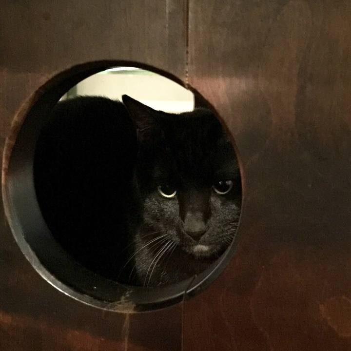 40272be2 3d28 44dc b559 aaaf301e7cbb