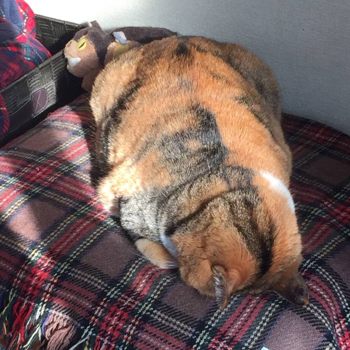 40276941 bea9 469d 9248 62fde5ae39bc