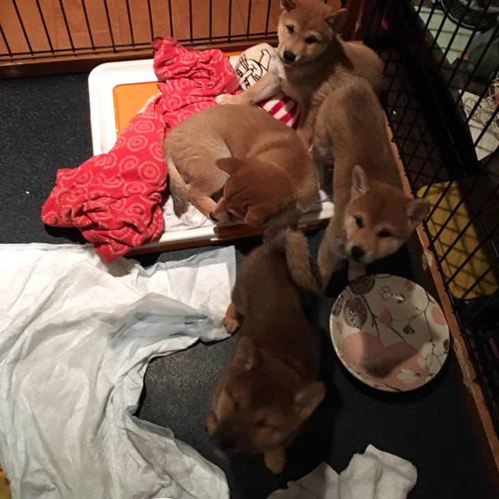 402811e7 18c3 47bc b000 00875b95c6a8