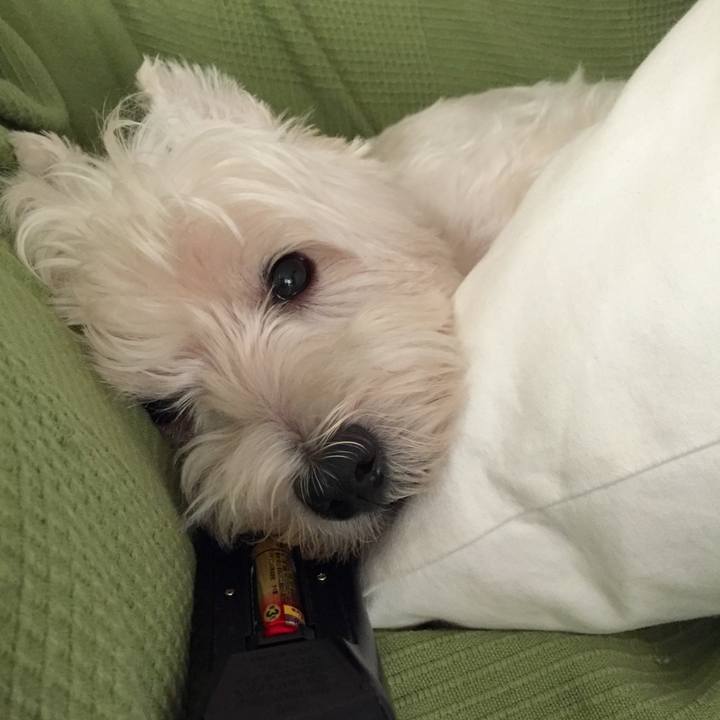 40282078 858b 48d7 b7b8 6527dc58a177